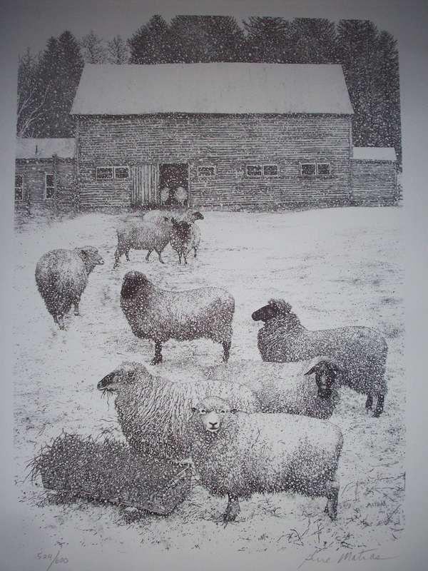 Sheep&SnowNotecardsGM