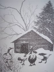 Farm Geese Pen&Ink Print