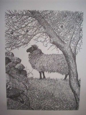 Sheep and Apple Tree Pen & Ink Print