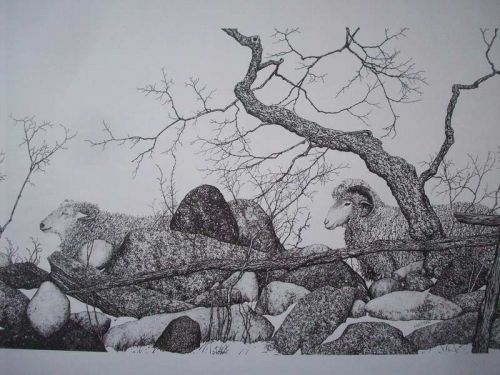 Sheep and Stonewall Pen & Ink Print