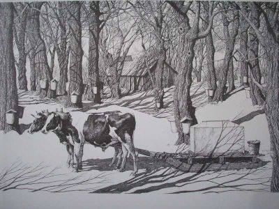 Oxen Sugaring Pen & Ink Print