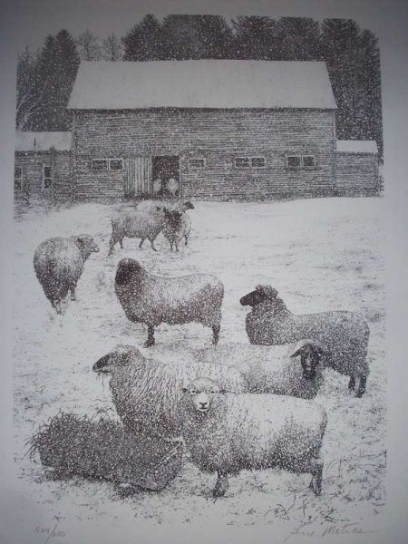 Peter's Sheep Note Cards