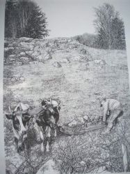 Oxen&Stoneboat Pen&Ink Print