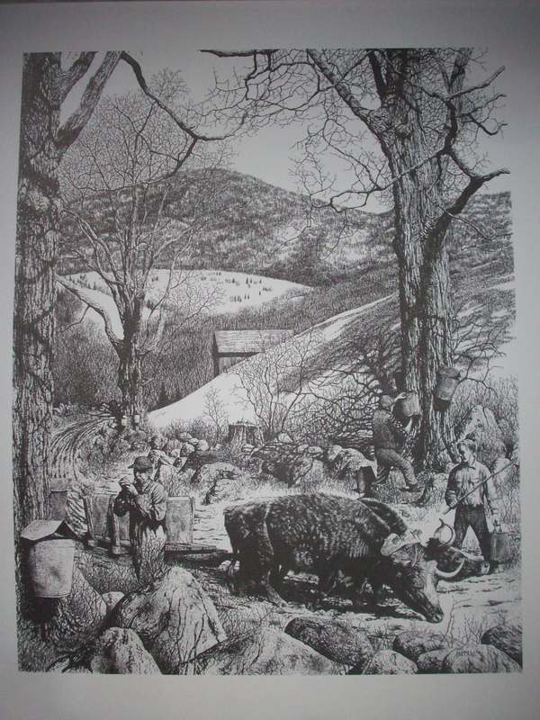Old Oxen Sapping Pen&Ink Print