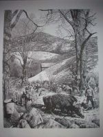 Old Oxen Sapping Pen&Ink Print