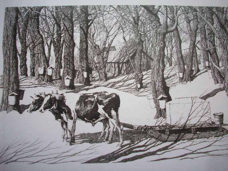 Oxen Sapping Note Cards