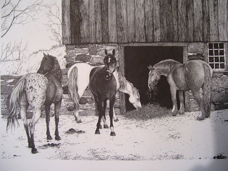 Four Horses Pen & Ink Print