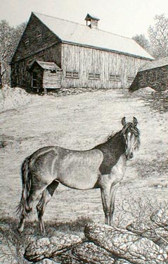 Horse and Barn Pen & Ink Print
