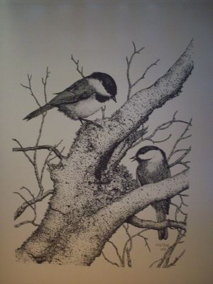 Chickadee Pen & Ink Print