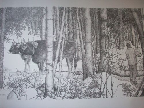 Tony's Oxen Pen&Ink Print