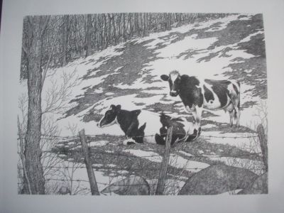 Two Cows Pen&Ink Print