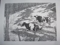 Two Cows Pen&Ink Print